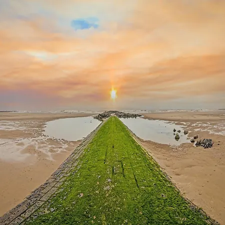 In Zeedijk With Sea Views Διαμέρισμα